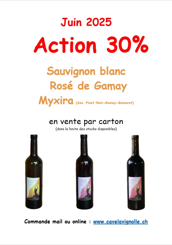 2025.06 action 30%