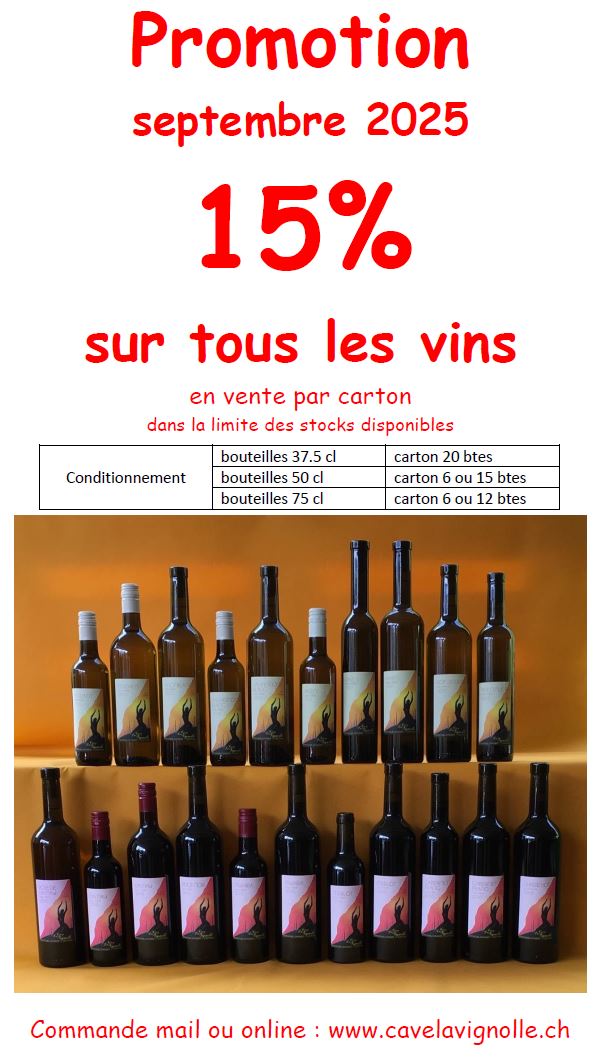 2025.09 action 15% vins